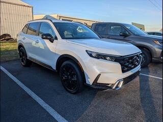 2025 Honda CR-V Hybrid for sale in Bowling Green KY