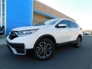 2022 Honda CR-V for sale in Gallatin TN