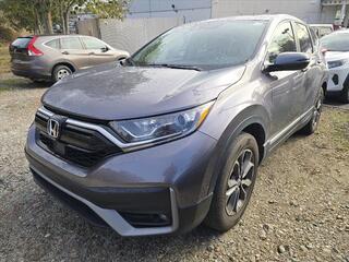 2020 Honda CR-V for sale in Spartanburg SC