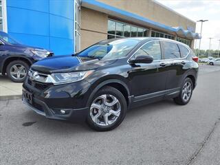 2019 Honda CR-V for sale in Gallatin TN