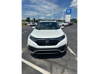 2022 Honda CR-V for sale in Johnson City TN