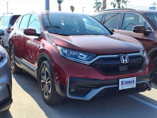 2022 Honda CR-V for sale in Laredo TX