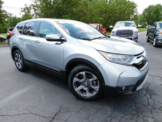 2019 Honda CR-V for sale in Clarksville TN