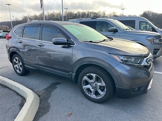 2019 Honda CR-V for sale in Greeneville TN