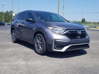 2020 Honda CR-V for sale in Cleveland TN