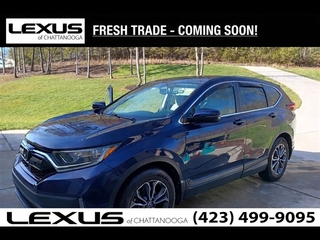2020 Honda CR-V for sale in Chattanooga TN