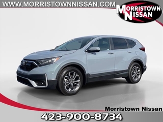 2020 Honda CR-V for sale in Morristown TN