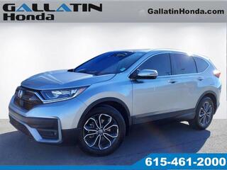 2020 Honda CR-V for sale in Gallatin TN