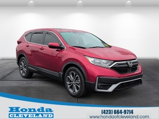 2020 Honda CR-V for sale in Cleveland TN
