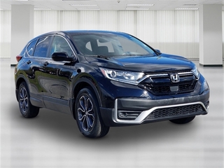 2020 Honda CR-V for sale in Mcdonald TN