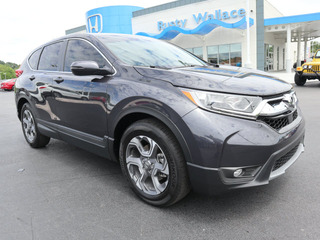 2019 Honda CR-V for sale in Morristown TN