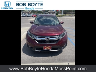 2019 Honda CR-V for sale in Moss Point MS