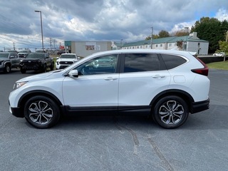 2020 Honda CR-V for sale in Morristown TN