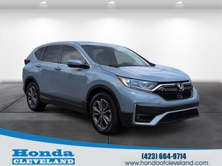 2022 Honda CR-V for sale in Cleveland TN