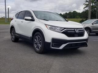 2022 Honda CR-V for sale in Cleveland TN