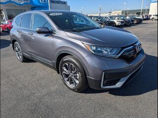 2022 Honda CR-V for sale in Bowling Green KY