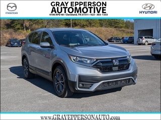 2020 Honda CR-V for sale in Cleveland TN