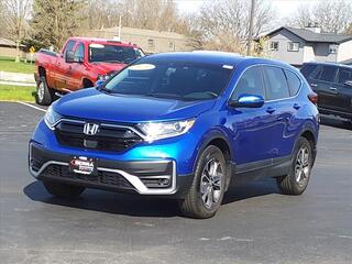 2020 Honda CR-V for sale in Savoy IL