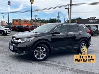 2019 Honda CR-V for sale in Mount Hope WV