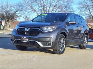 2021 Honda CR-V for sale in Savoy IL