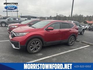 2021 Honda CR-V for sale in Morristown TN