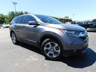 2019 Honda CR-V for sale in Clarksville TN