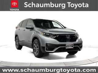 2022 Honda CR-V for sale in Schaumburg IL
