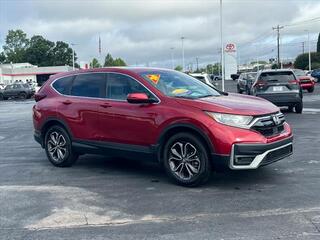 2020 Honda CR-V for sale in Hendersonville NC