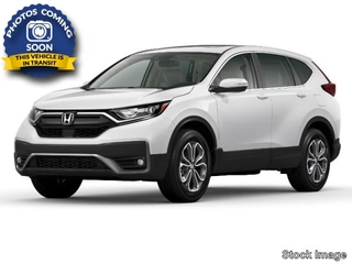 2020 Honda CR-V for sale in Knoxville TN