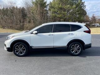 2021 Honda CR-V for sale in Morristown TN