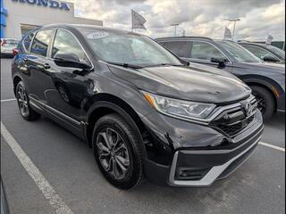 2022 Honda CR-V for sale in Bowling Green KY