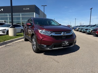 2019 Honda CR-V for sale in Elgin IL