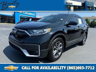 2022 Honda CR-V for sale in Knoxville TN