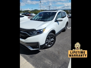 2022 Honda CR-V for sale in Johnson City TN