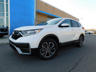 2022 Honda CR-V for sale in Gallatin TN