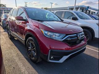 2022 Honda CR-V for sale in Bowling Green KY