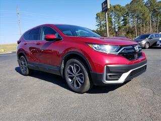 2020 Honda CR-V for sale in Morristown TN