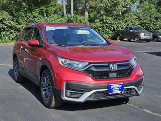 2022 Honda CR-V for sale in Kirkwood MO