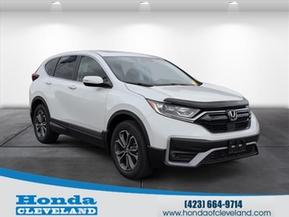 2022 Honda CR-V for sale in Cleveland TN