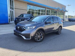 2022 Honda CR-V for sale in Gallatin TN