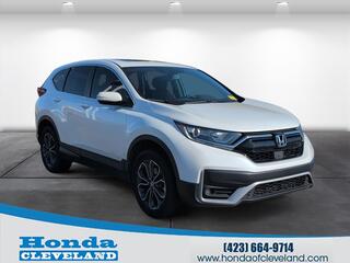 2022 Honda CR-V for sale in Cleveland TN