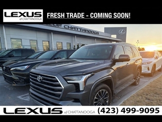 2023 Toyota Sequoia for sale in Chattanooga TN