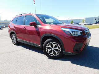 2019 Subaru Forester for sale in Clarksville TN