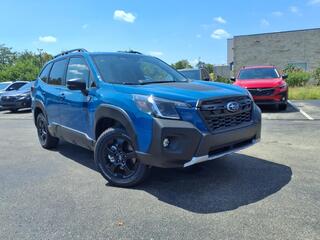 2025 Subaru Forester for sale in Cincinnati OH