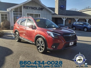 2023 Subaru Forester for sale in Lyme CT