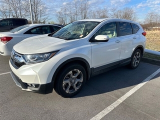 2019 Honda CR-V for sale in Morristown TN