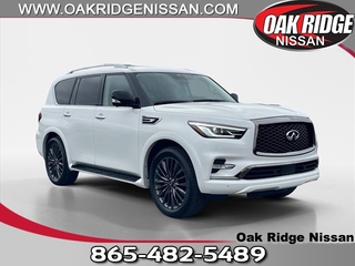 2024 Infiniti QX80 for sale in Oak Ridge TN