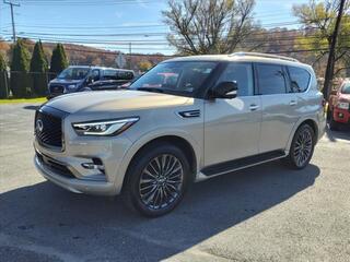 2023 Infiniti QX80