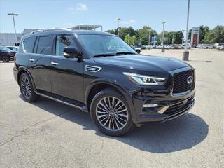 2023 Infiniti QX80 for sale in Clarksville TN