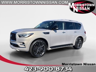 2024 Infiniti QX80 for sale in Morristown TN